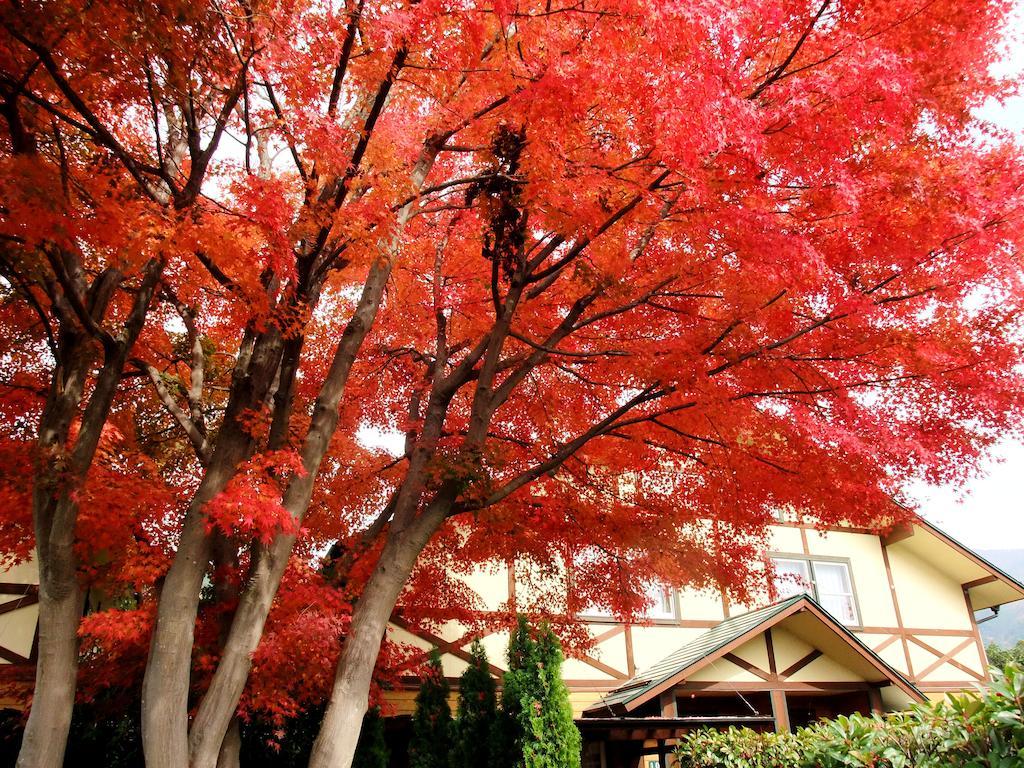 Lake Villa Kawaguchiko Fujikawaguchiko Dış mekan fotoğraf