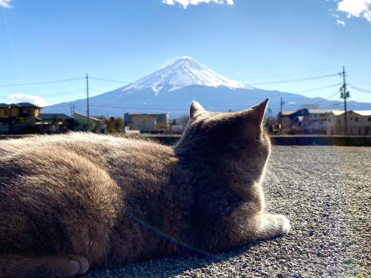 Lake Villa Kawaguchiko Fujikawaguchiko Dış mekan fotoğraf