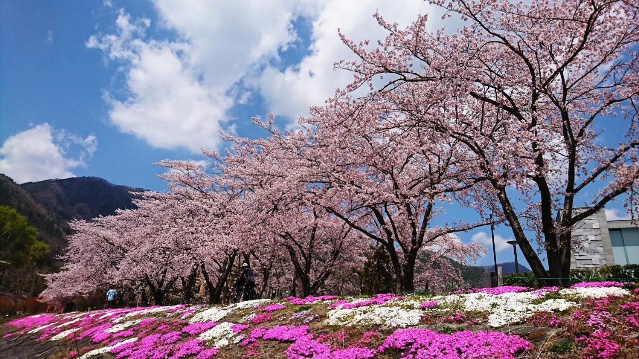 Lake Villa Kawaguchiko Fujikawaguchiko Dış mekan fotoğraf